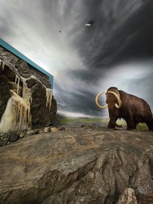 Royal BC Museum by null