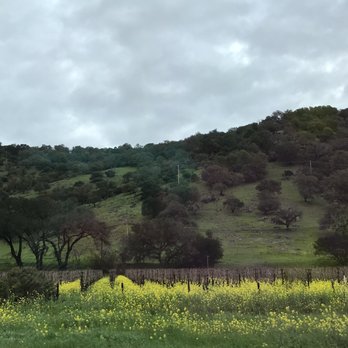 Theorem Vineyards - Wineries Near Me - Calistoga, California