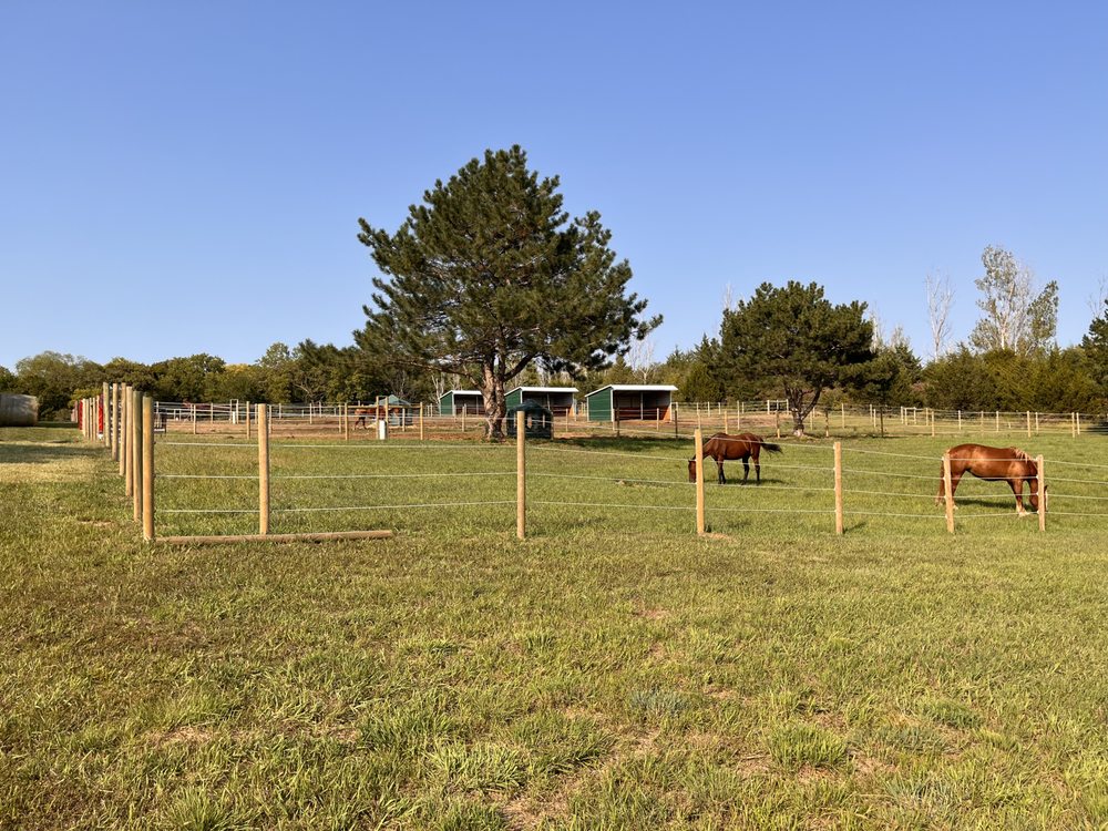 FOUR POINTS RANCH Updated March 2024 Papillion, Nebraska Horse