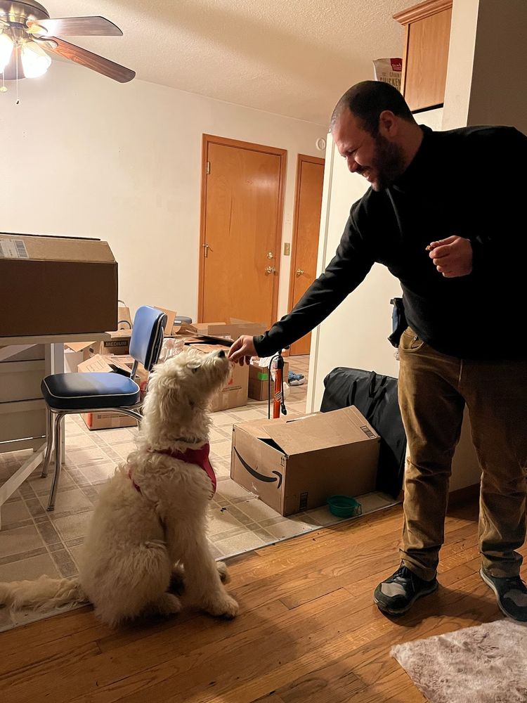Sit Down & Beyond - pet boarding facility in Portland, OR