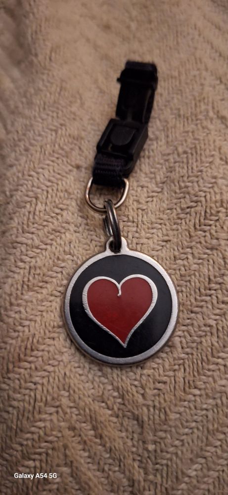 Pawprints Veterinary Housecall Image