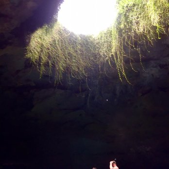 Devil's Den Prehistoric Spring - Scuba Diving Near Me - Williston, Florida Devil's Den Prehistoric Spring - Scuba Diving Near Me - Williston, Florida