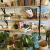 Planted Collective gift card