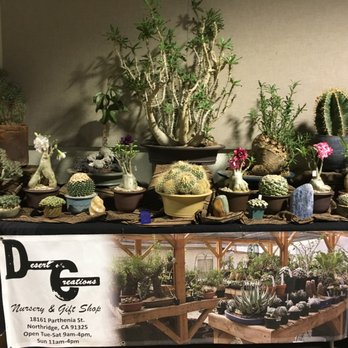 Desert Creations Nursery - Show Table at Inter-City 2018 - Gift Shops Near Me - Northridge, California Desert Creations Nursery - Show Table at Inter-City 2018 - Gift Shops Near Me - Northridge, California