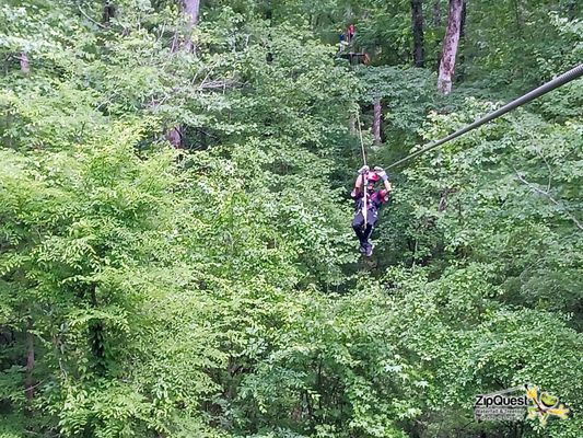 ZipQuest - Waterfall & Treetop Adventure by null