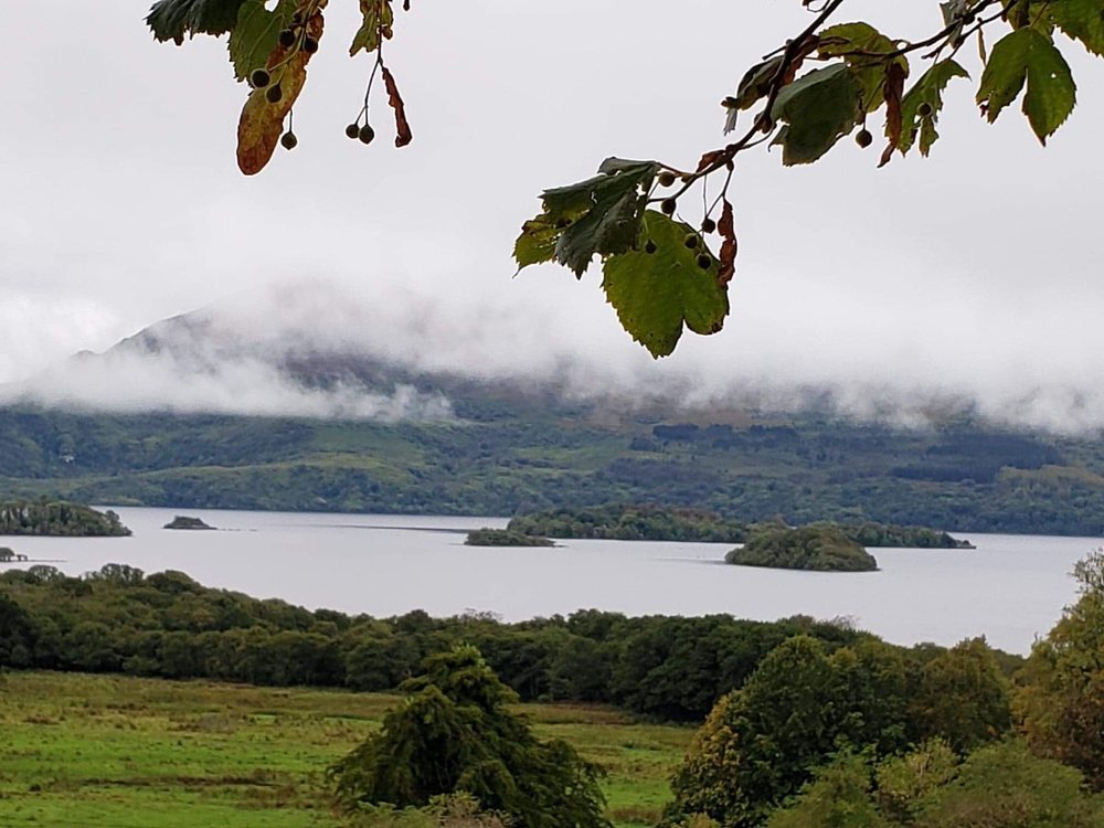 KILLARNEY RIDING STABLES Updated September 2024 13 Photos