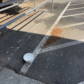 Petco - Expired dog food littered by employees in a handicap parking spot - Pet Stores Near Me - Everett, Washington Petco - Expired dog food littered by employees in a handicap parking spot - Pet Stores Near Me - Everett, Washington