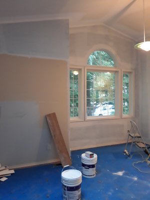 2019 project - interior paint 2019 project - interior paint