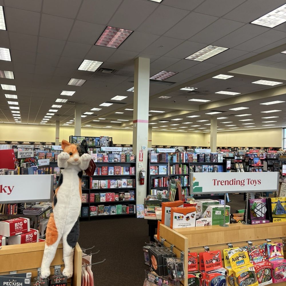 Books-A-Million - Sunday, 12 October 2025 - Bookstores Near Me - Fairview park, Ohio