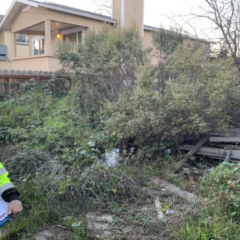 The Weed Solution - BEFORE - Landscaping Near Me