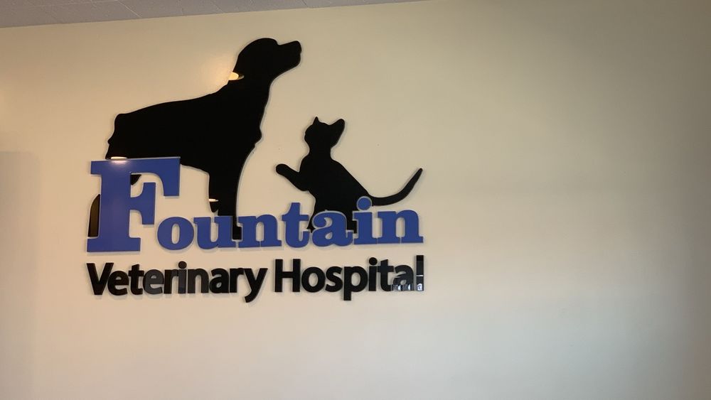 FOUNTAIN VETERINARY HOSPITAL Updated October 2024 15 Photos & 57