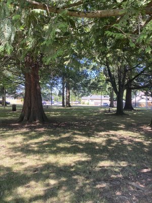 Glenwood Park by null