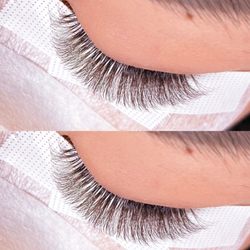 Lash Maven - Brown lashes