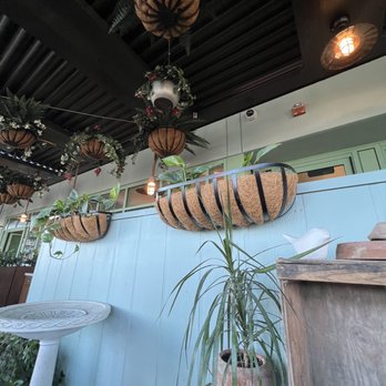 Terra - Inside decor - Italian Near Me - Santa Clara, California Terra - Inside decor - Italian Near Me - Santa Clara, California