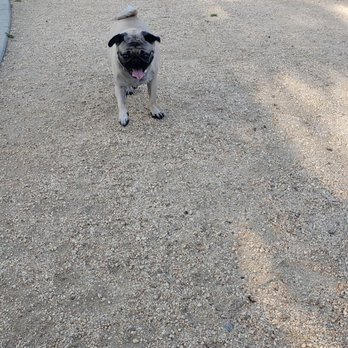 Vila Borba Park - Dog Parks Near Me - Chino Hills, California