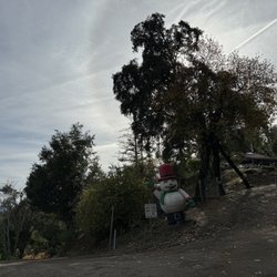 Lone Star Tree Farm - Entrance and sign