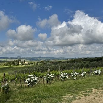 Fattoria San Michele a Torri - Wineries Near Me - Scandicci, PO Fattoria San Michele a Torri - Wineries Near Me - Scandicci, PO