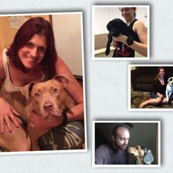 The Canine Cure - The Canine Cure Team of Behavioral Consultants