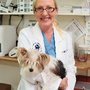 Photo of Mountain Highway Veterinary Hospital