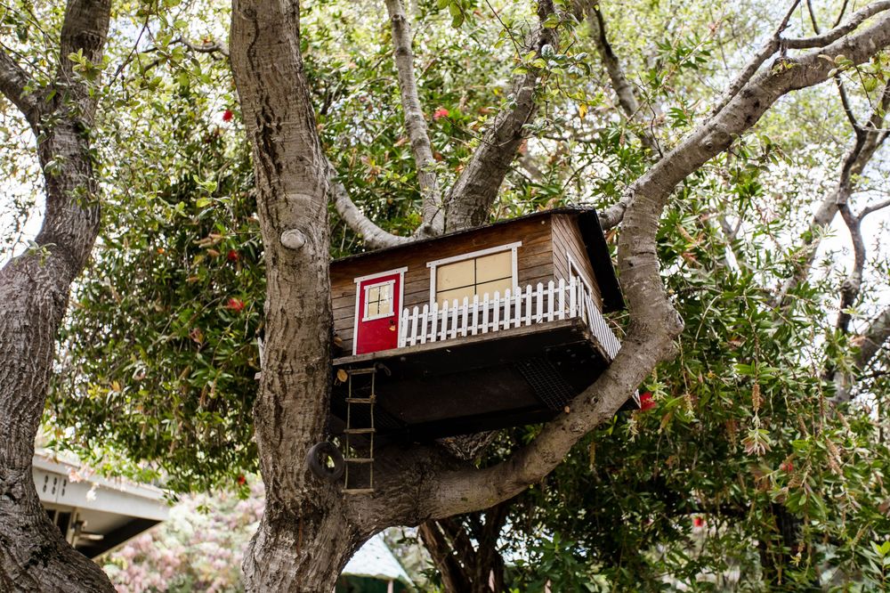 First Covenant Treehouse Preschool - childcare center in Oakland, CA