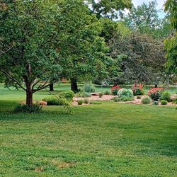 Autrey Park - Morse park, beyond the huge main trees by the parking lot