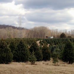 Triple Creek Farm and Nursery - Great variety of trees to choose from...