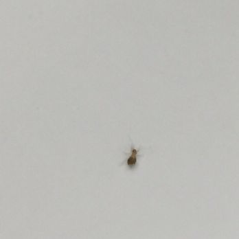 Playa Palm Beach Hotel - Found on the bed at the first day - Hotels Near Me - Playa del Carmen, ROO