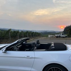 Ruby Vineyard and Winery