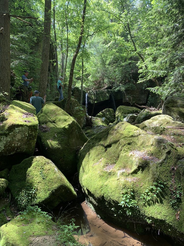 Hodges Equestrian Park - equestrian in Hodges, AL
