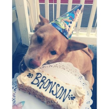 Three Dog Bakery - Pet Stores Near Me - Kansas City, Missouri Three Dog Bakery - Pet Stores Near Me - Kansas City, Missouri