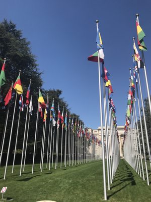 Palais des Nations by null