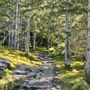 Photo of Gletscherschlucht  Glacier Canyon