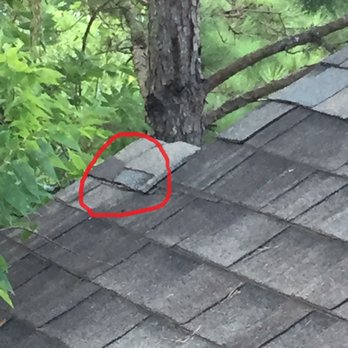 1st Choice Roofing and Construction - a bird on the roof - Roofing Near Me - Tomball, Texas