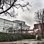 Techniker Krankenkasse TK