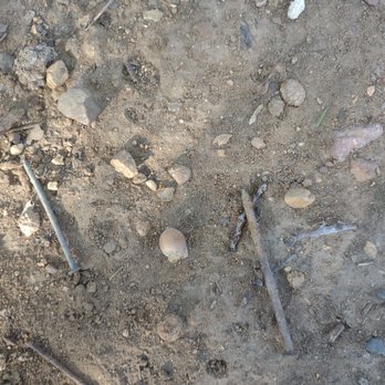 VB Landscaping - Screws. and acorns that Tyler claims he cleared out. Here are the nails he had to "dig" out. - Junk Removal & Hauling Near Me