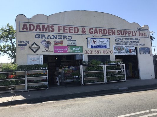 Adam's Feed & Garden Supply, Inc. by null