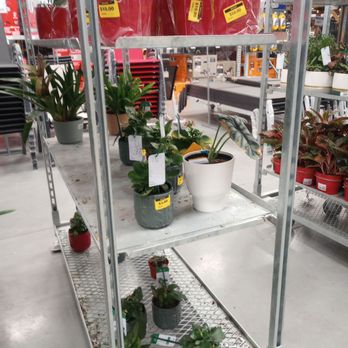 RONA - Discounted plants - Hardware Stores Near Me - Ottawa, Ontario
