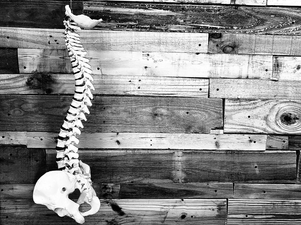 TURNER CHIROPRACTIC Updated June 2024 4090 Washington Rd, Martinez