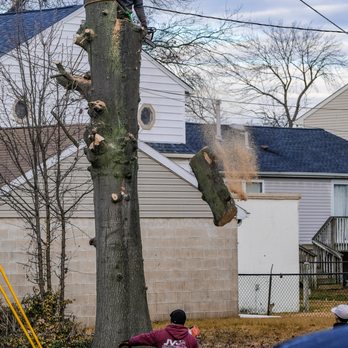 JV Strong Tree Service - Tree Services Near Me - Clementon, New Jersey JV Strong Tree Service - Tree Services Near Me - Clementon, New Jersey