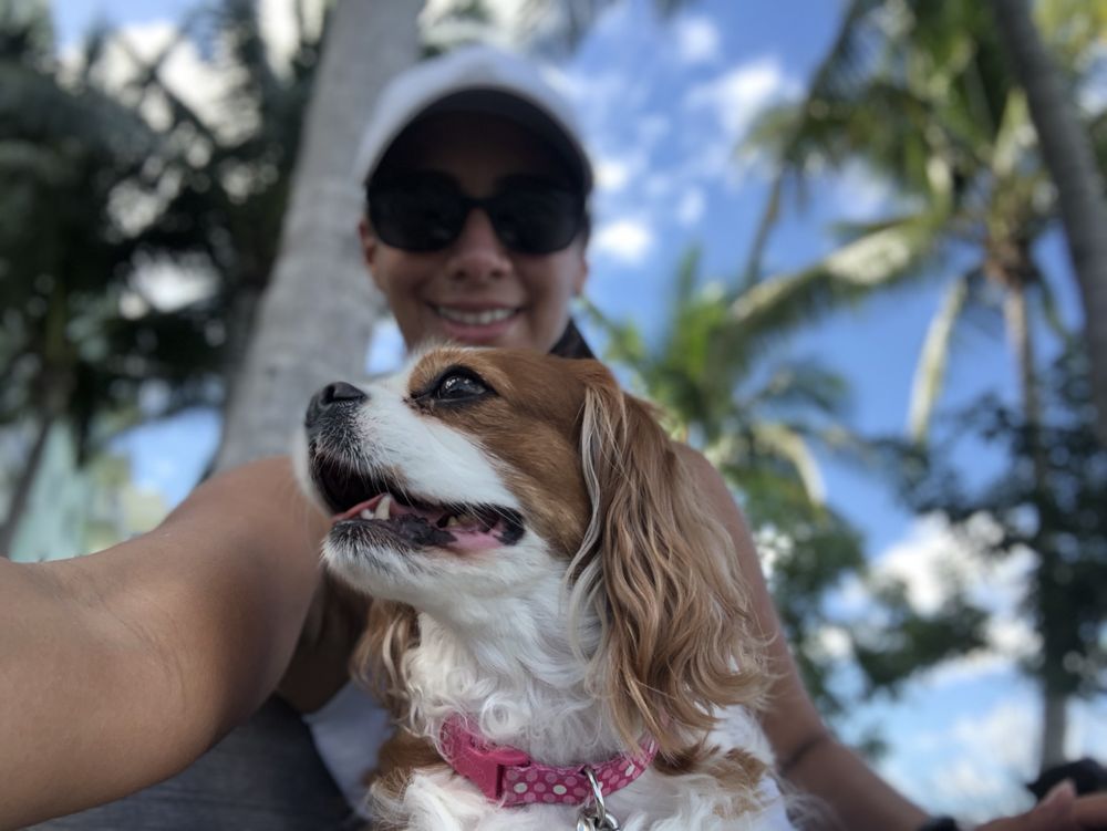 Doggy Walker's Club Image