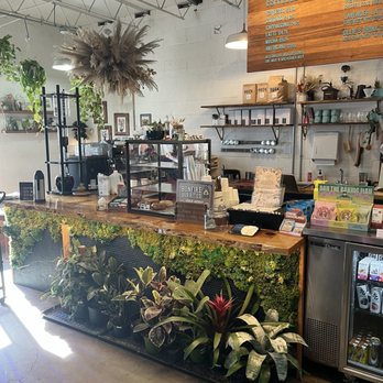 Dandy Lion Coffee - Coffee & Tea Near Me - Denver, Colorado