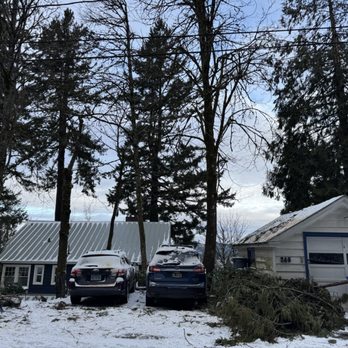 M&R Tree services - So much better! - Tree Services Near Me - Vancouver, Washington M&R Tree services - So much better! - Tree Services Near Me - Vancouver, Washington