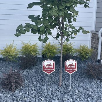 Sundrop Gardens Landscaping - Shrubs - Landscaping Near Me - Dallas, Texas Sundrop Gardens Landscaping - Shrubs - Landscaping Near Me - Dallas, Texas