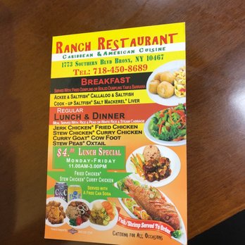 Total Blend Restaurant - menu for lunch and dinner - Restaurants Near Me - Bronx, New York Total Blend Restaurant - menu for lunch and dinner - Restaurants Near Me - Bronx, New York