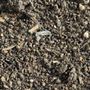 Photo of A & M Landscape Supply
