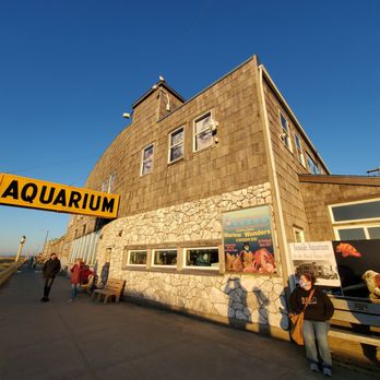 Seaside Aquarium - Aquariums Near Me - Seaside, Oregon Seaside Aquarium - Aquariums Near Me - Seaside, Oregon