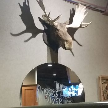 Moose River Restaurant - They have a moose head. Oy. - Diners Near Me - New Hartford, New York Moose River Restaurant - They have a moose head. Oy. - Diners Near Me - New Hartford, New York