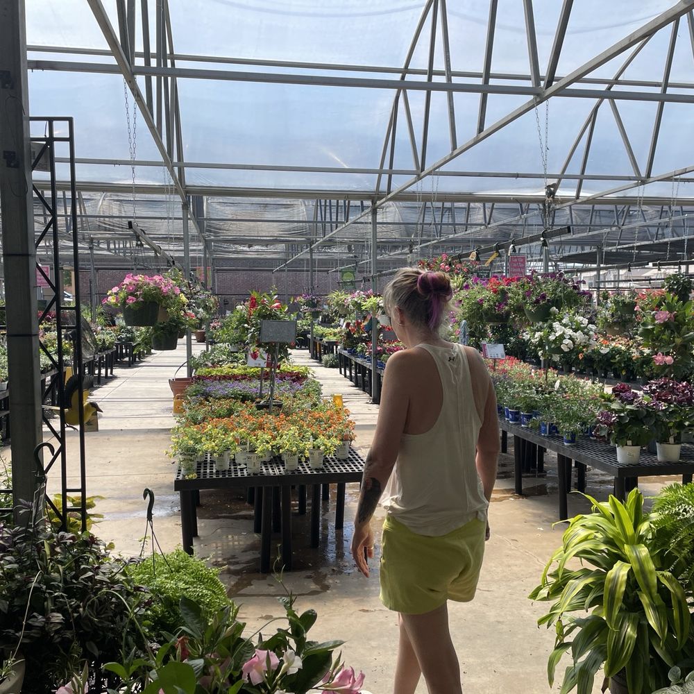 Calloway's Nursery - Nurseries & Gardening Near Me - Lewisville, Texas