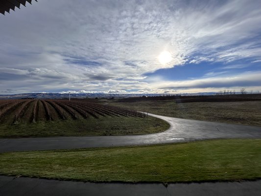 Pepper Bridge Winery by null
