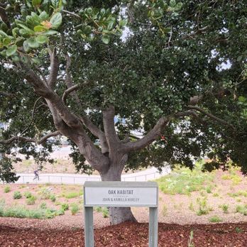 Francisco Park - Dog Parks Near Me - San Francisco, California